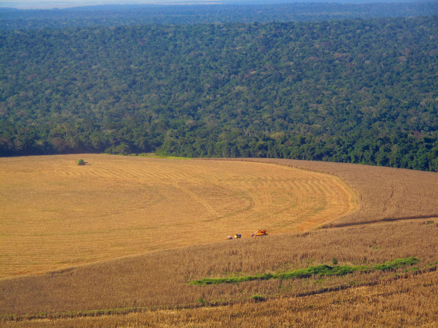 Landbúnaður og ofnýting auðlinda skaðlegri  líffræðilegum fjölbreytileika en hlýnun jarðar