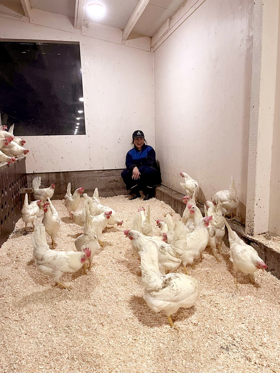 Halldóra í góðum hópi hænsnfugla.