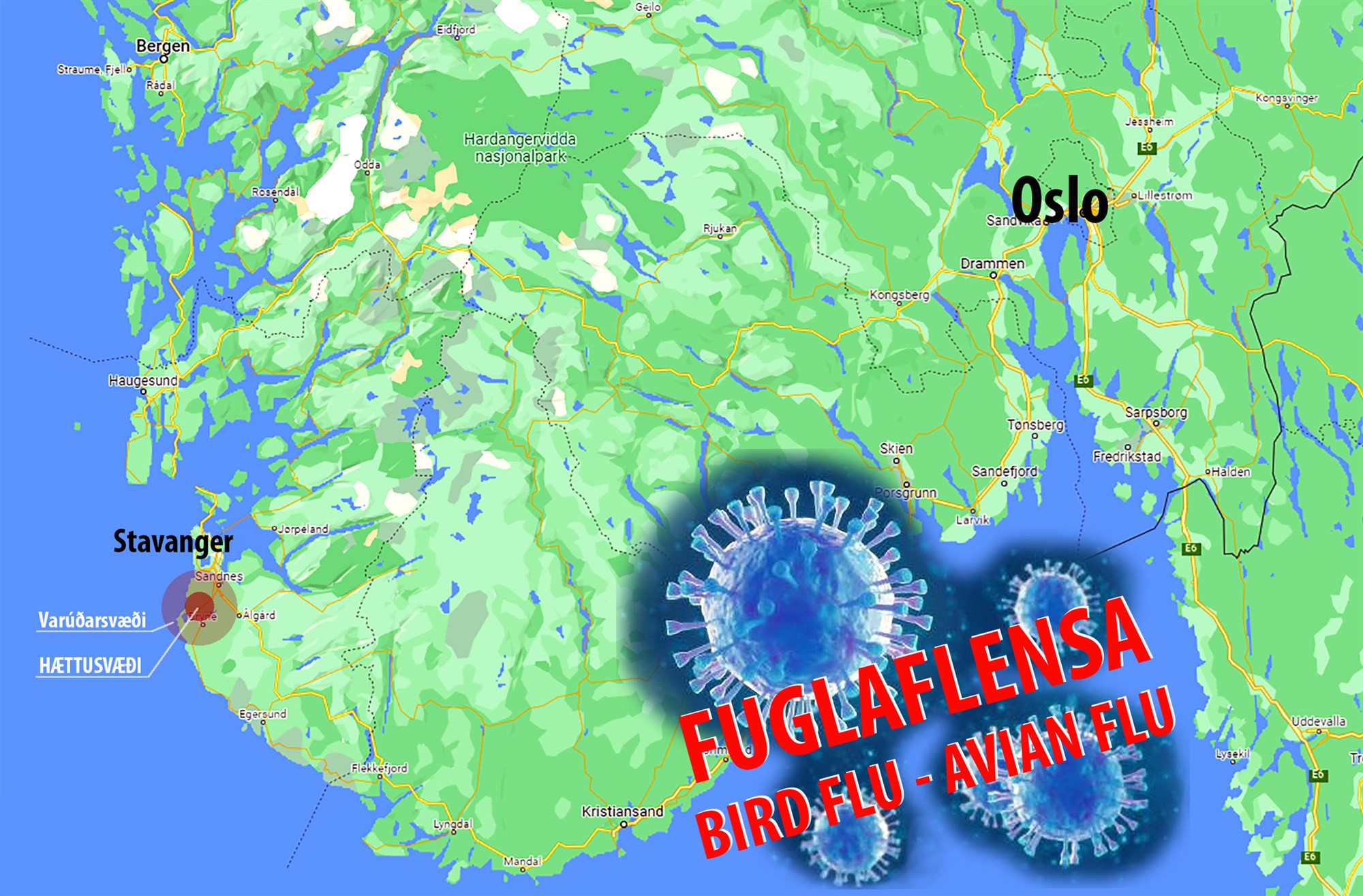 Fuglaflensa breiðist út í Evrópu og Asíu og hefur smitað fólk í Kína