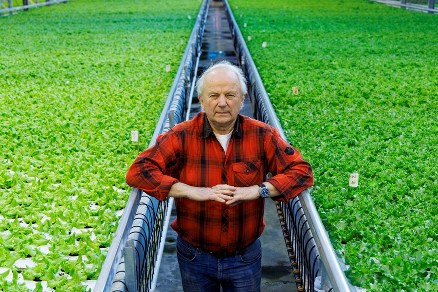 Hafberg Þórisson, bóndi í Lambhaga í Reykjavík. 