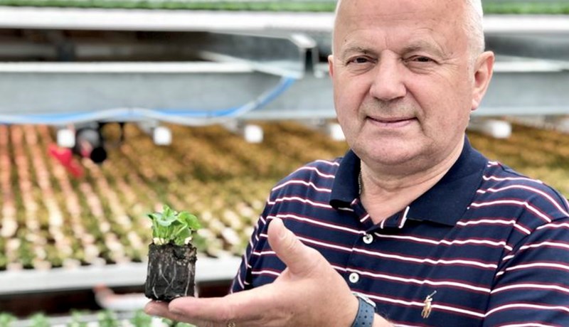 Fasteignafyrirtæki kaupir Lambhaga