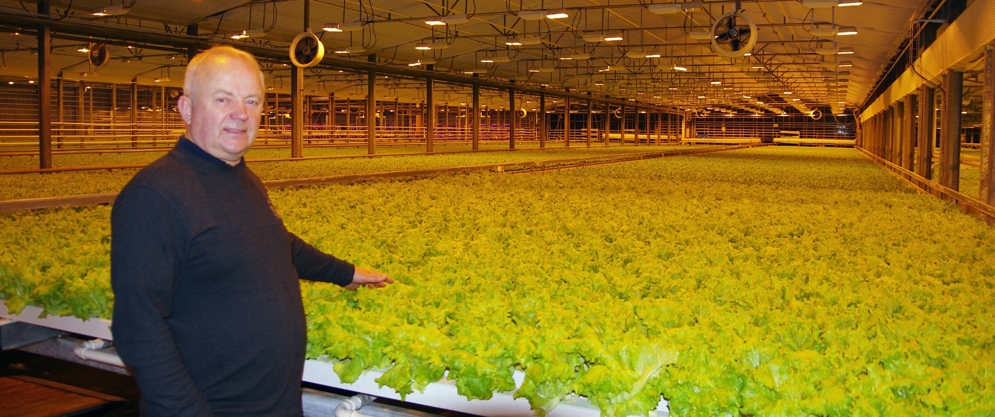 Stefnt að fullri kolefnisjöfnun hjá Lambhaga