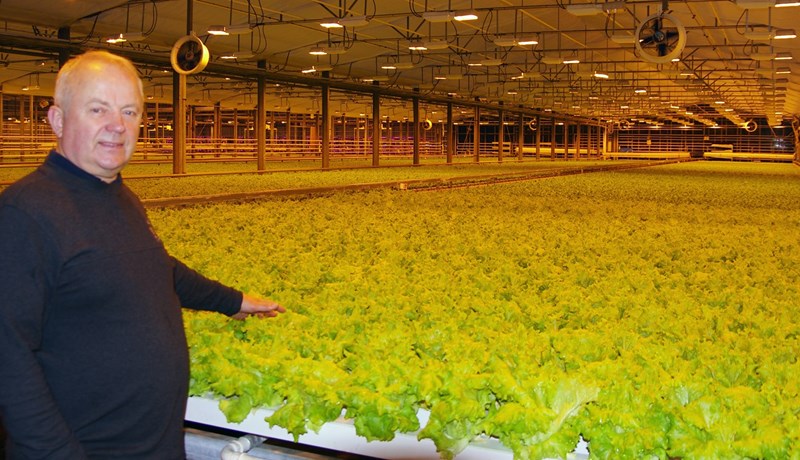 Stefnt að fullri kolefnisjöfnun hjá Lambhaga