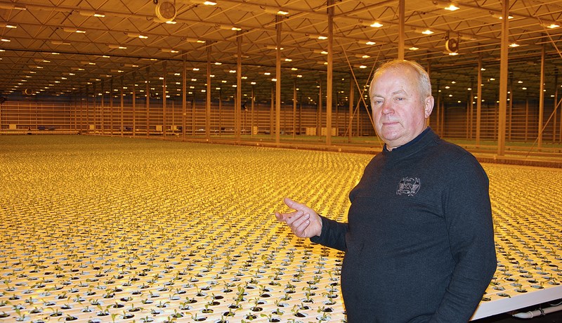 Íhugar að loka Lambhaga í Reykjavík vegna stórhækkana á heitu vatni