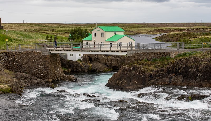 Það er búið að lögfesta heimild til erfðablöndunar á villtum íslenskum laxastofnum