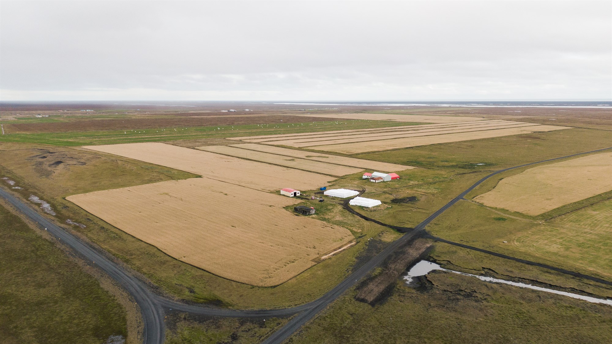 Sandhólsbóndi vinnur að þróun á íslenskri haframjólk