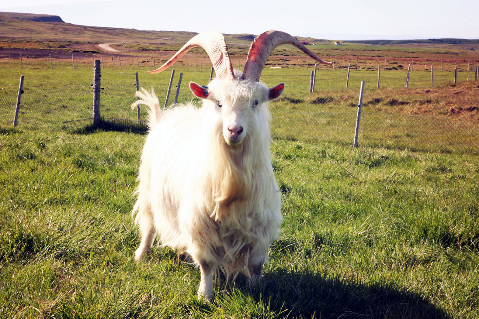 Hugsjón og fjölbreyttir möguleikar