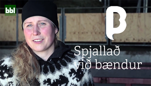 „Við vöxum ekki með því að vera alltaf að fækka og fjölga“