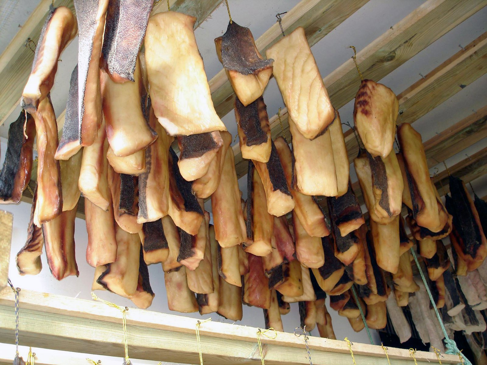 Hákarlinn fyrr og nú