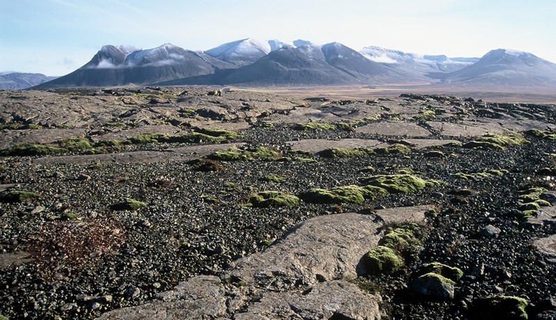 Til varnar frumvarpi um hálendisþjóðgarð