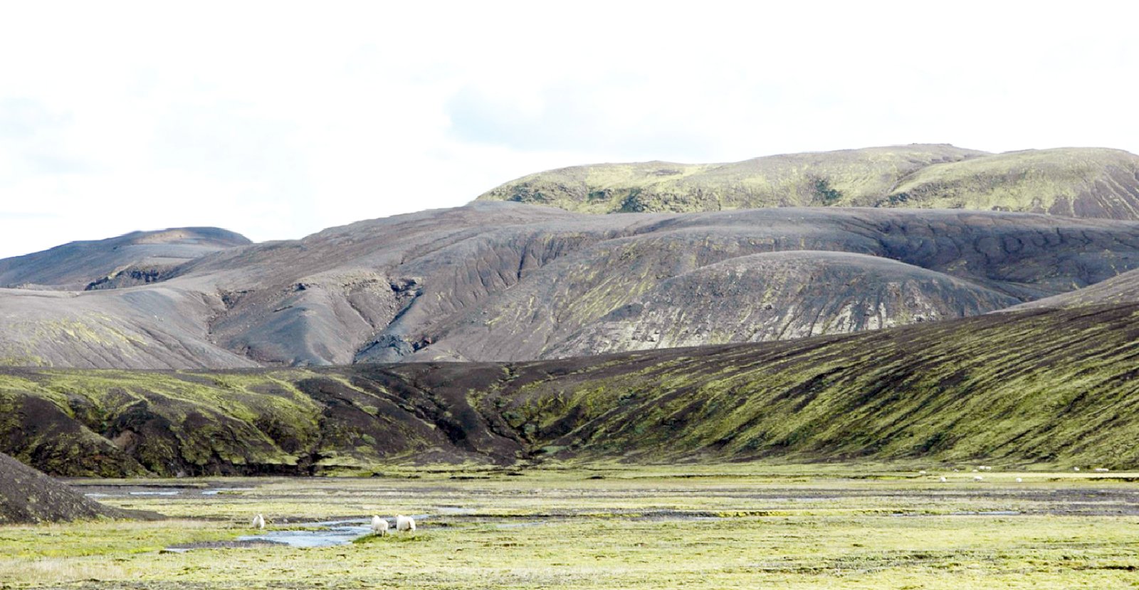 Að segja hálfan sannleika