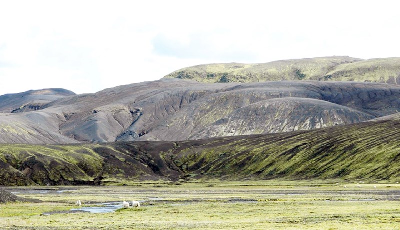 Að segja hálfan sannleika