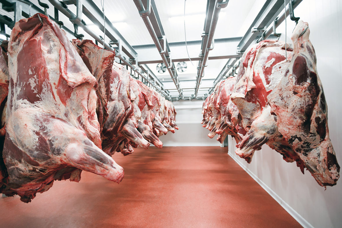 Ástralskir kjötframleiðendur búa sig undir langvarandi neikvæð áhrif