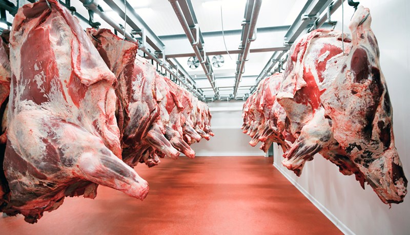 Ástralskir kjötframleiðendur búa sig undir langvarandi neikvæð áhrif