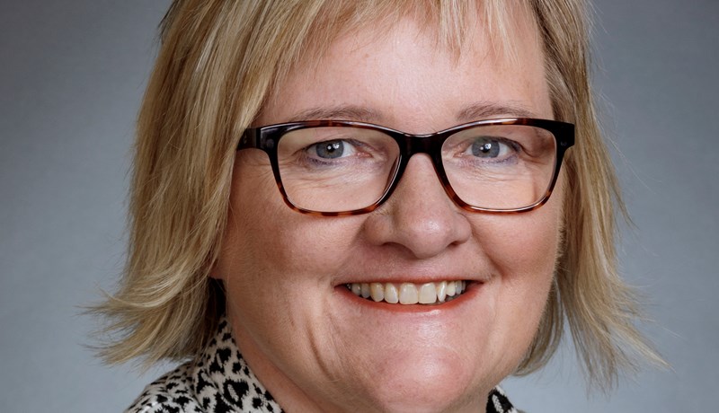 Ljósið í bæjarlæknum