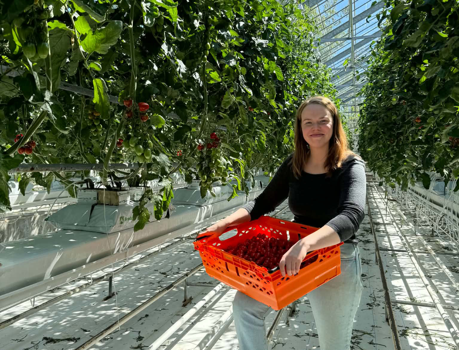 Halla Sif meðal 100 kvenhetja