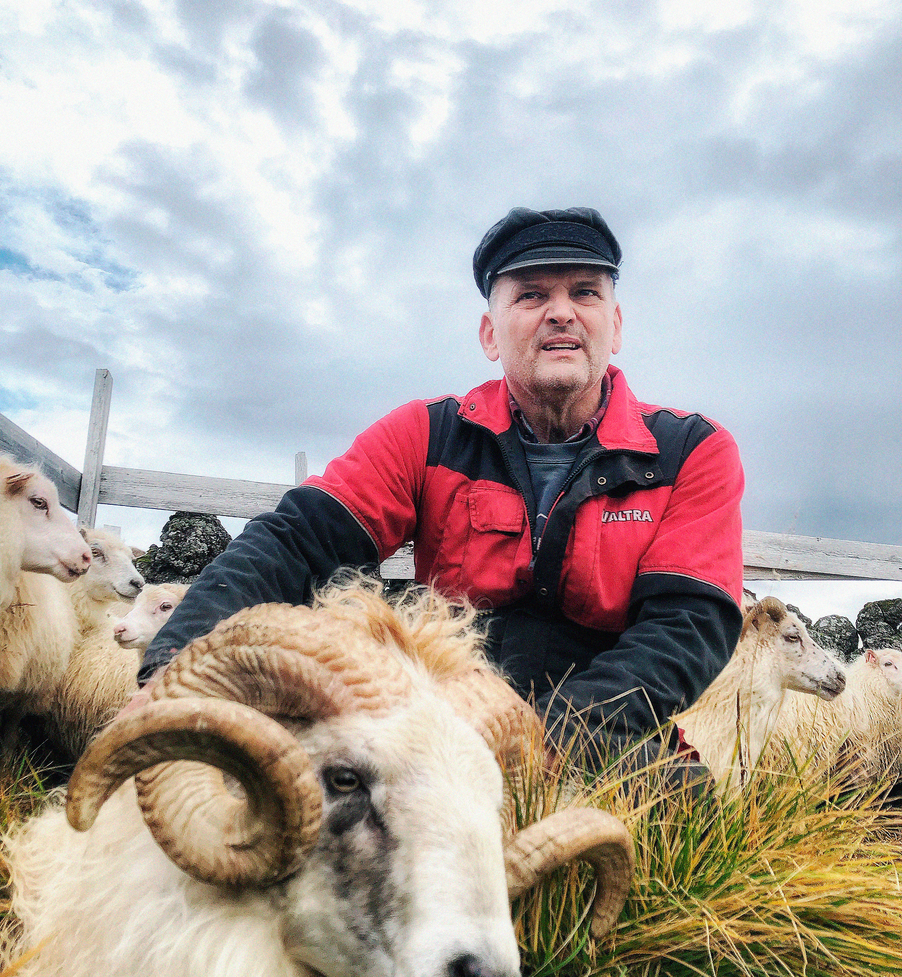 Síðasti hreppstjórinn á landinu í hlutverki réttarstjóra í Þverárrétt