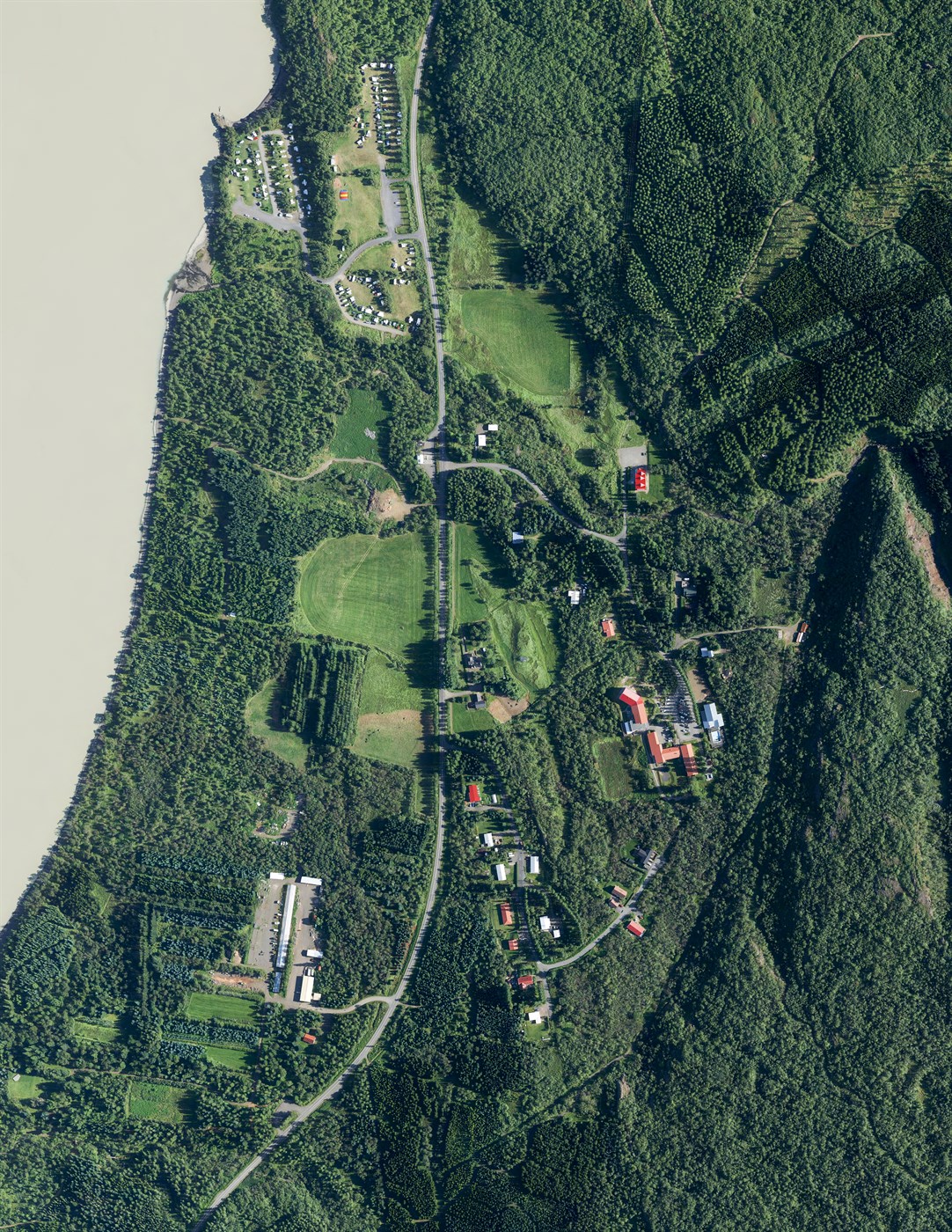 Hallormsstaður rétt svar við myndagetraun