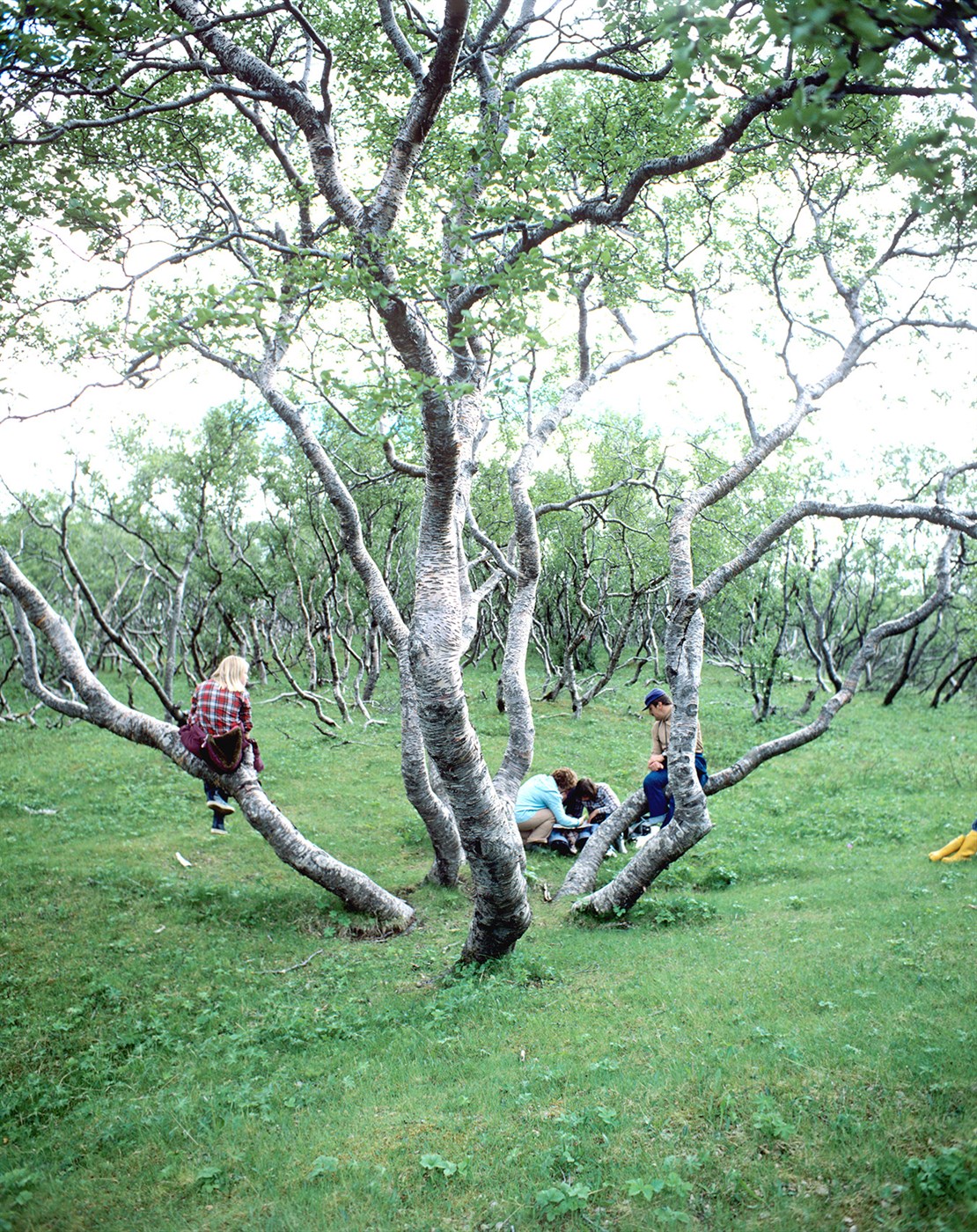 Miklar breytingar í vændum