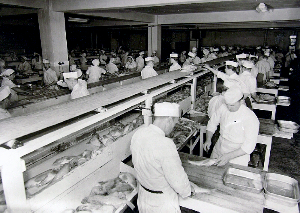 Hvaða fiskur er þetta?