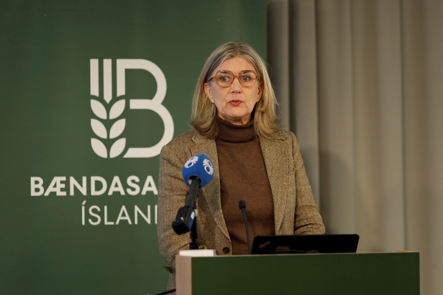 „Sú vinna verður unnin í nánu samtali við greinina,“ sagði Hanna Katrín Friðriksson um endurskoðun á stuðningskerfi landbúnaðarins. 