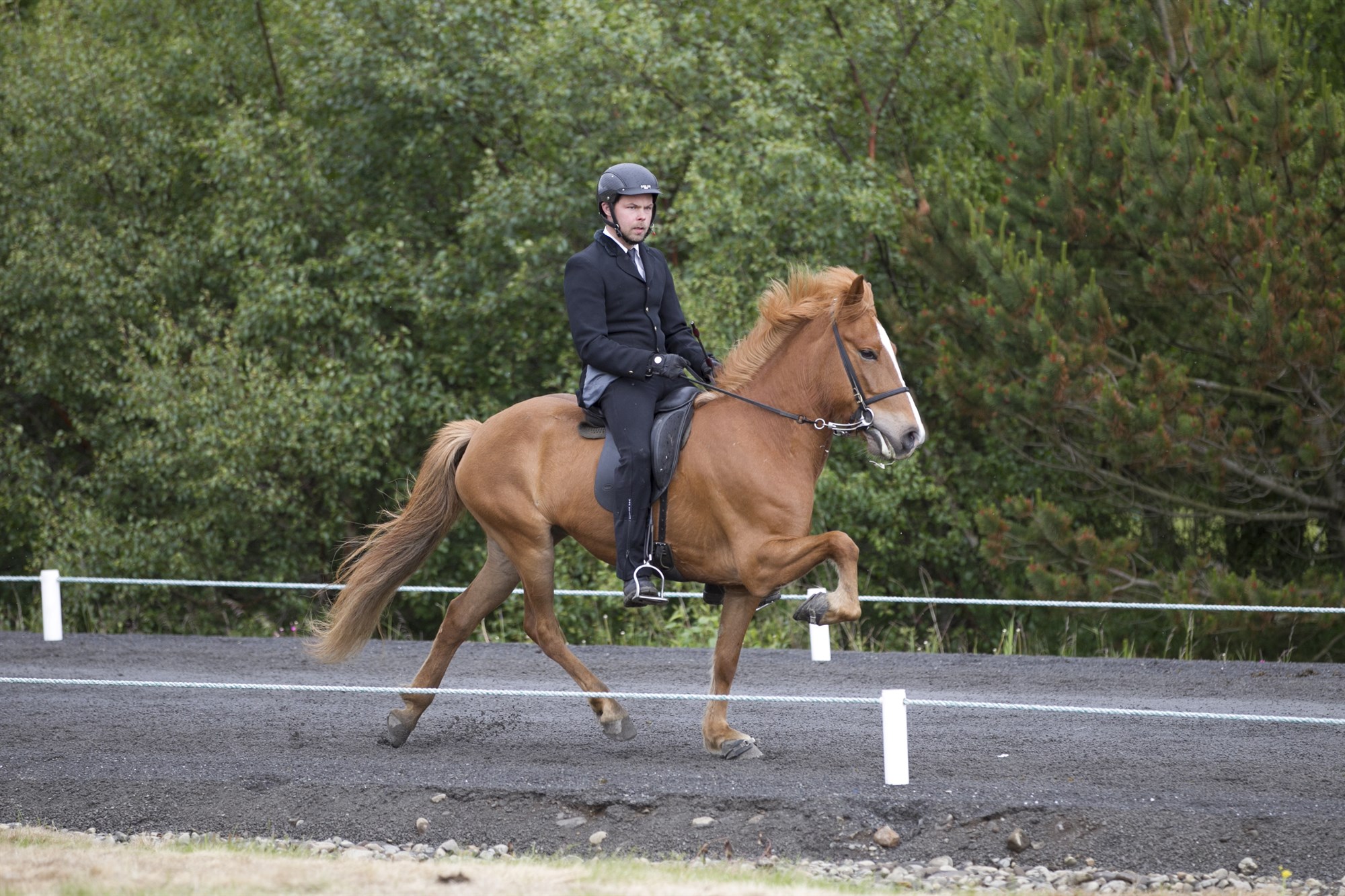 Kynbótasýning á Fjórðungsmóti Vesturlands frá 7. til 11. júlí