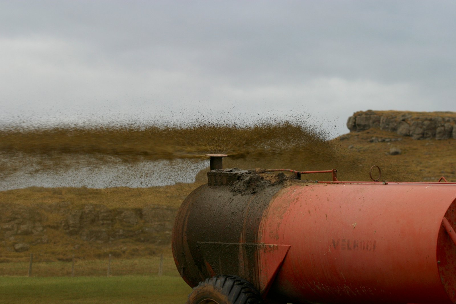 Hvert er áburðargildið í þínum búfjáráburði?
