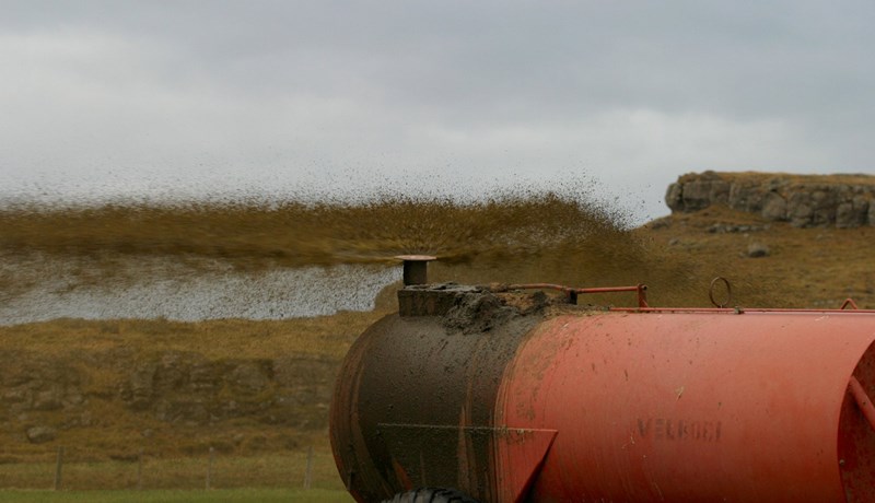 Hvert er áburðargildið í þínum búfjáráburði?