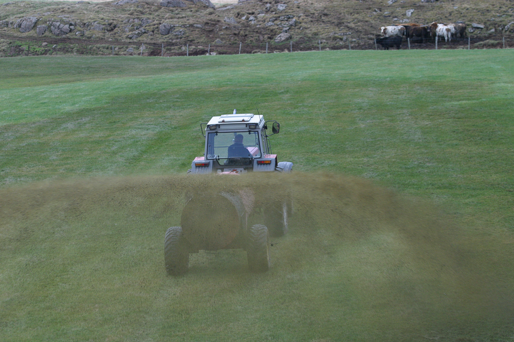 Tækifærin í áskorununum