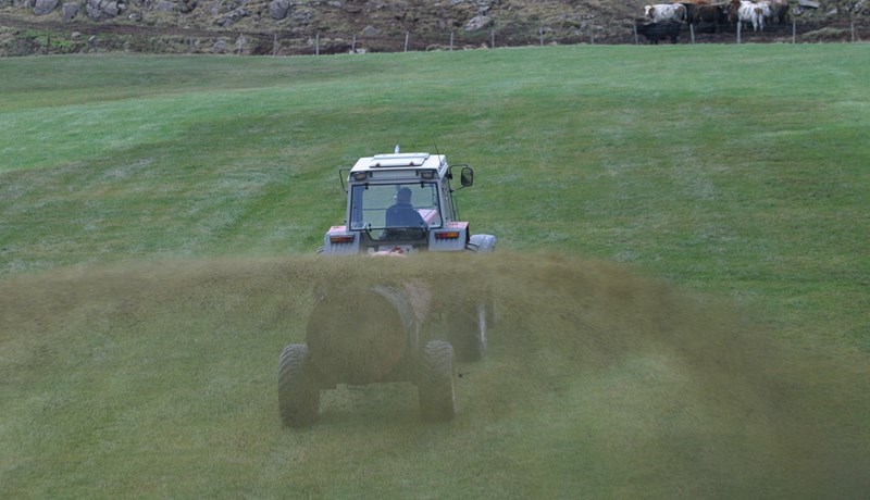 Tækifærin í áskorununum