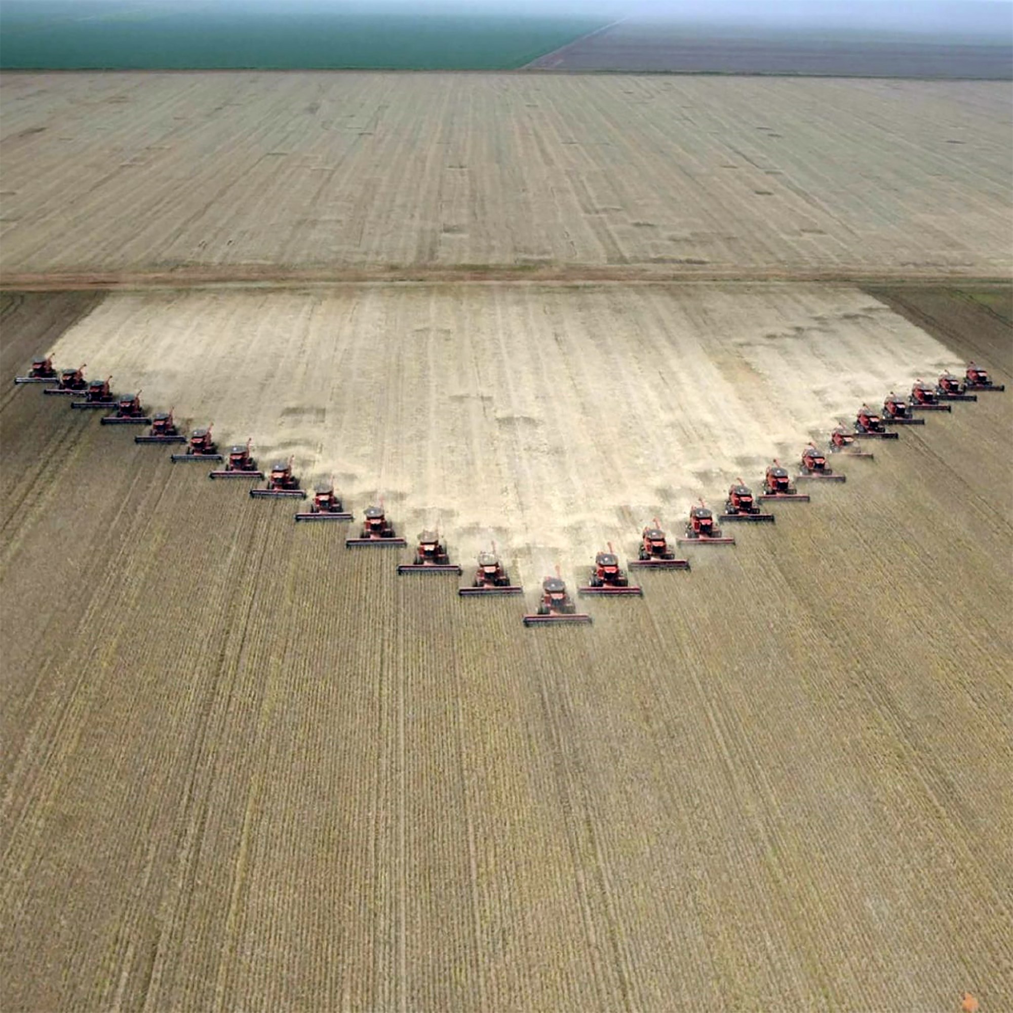 Ört vaxandi fjárfestingar í nýrri hátækni í landbúnaði þrátt fyrir COVID-19