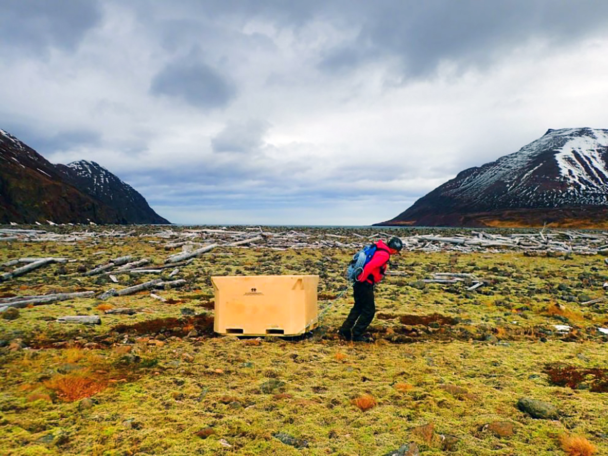 Hreinsuðu upp gríðarlegt magn af plasti úr Héðinsfirði