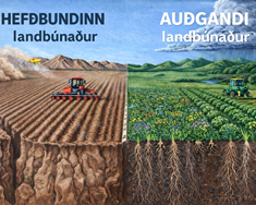 AMOC og auðgandi landbúnaður