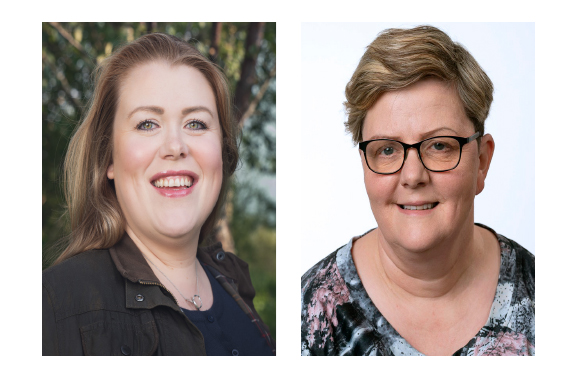 Stofnum afleysingaþjónustu bænda