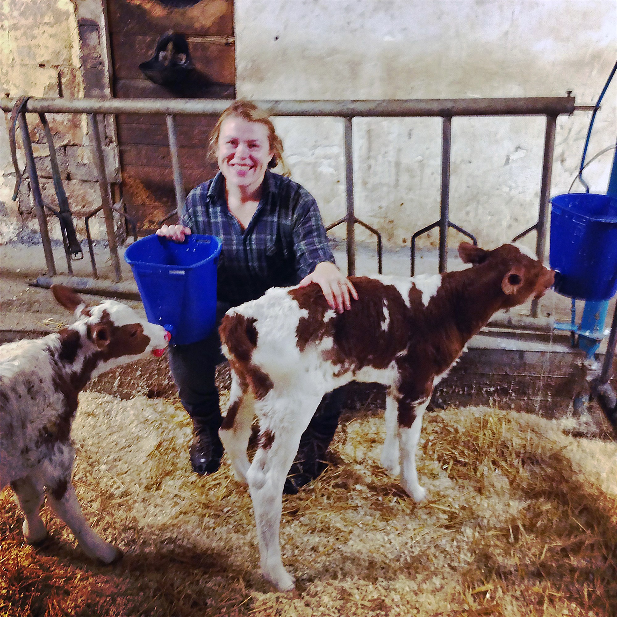 Sameinumst um öflugan landbúnað