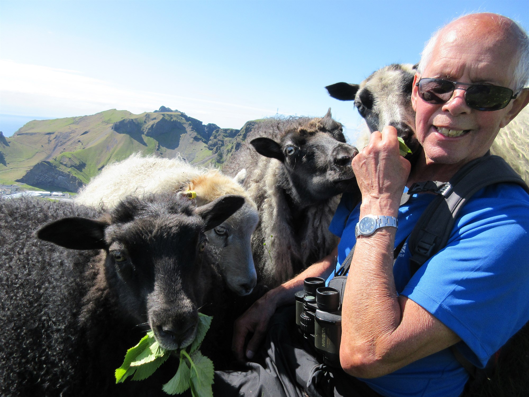 Kindurnar hlýða bara kalli Svavars, 84 ára göngugarps