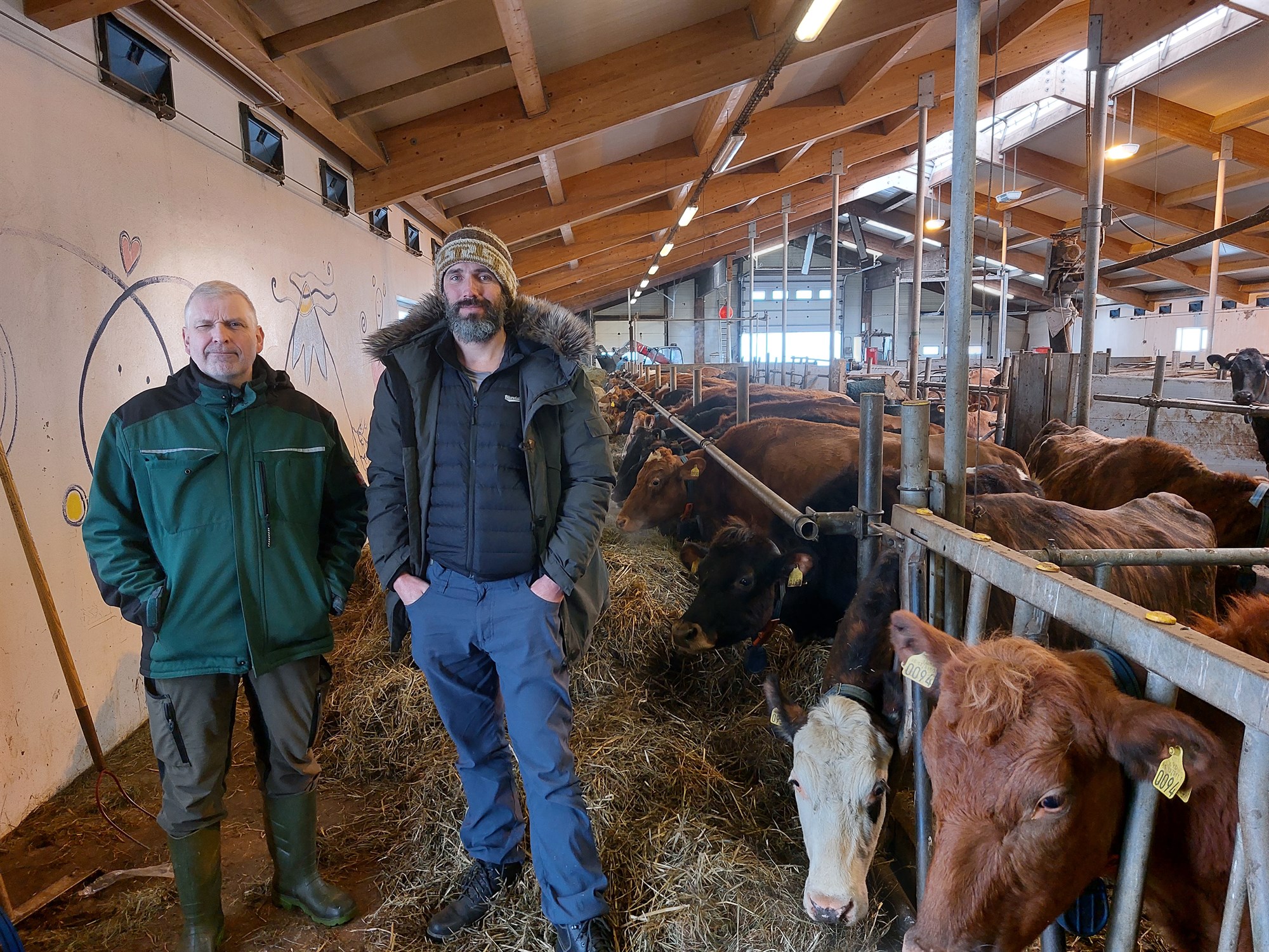 Ostar eru lokaafurð flókins og breytilegs framleiðsluferlis