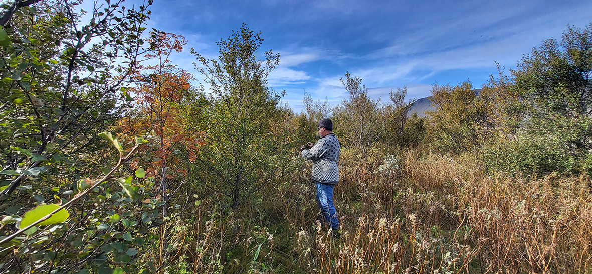 Náttúruperlur í umsjá Lands og skógar
