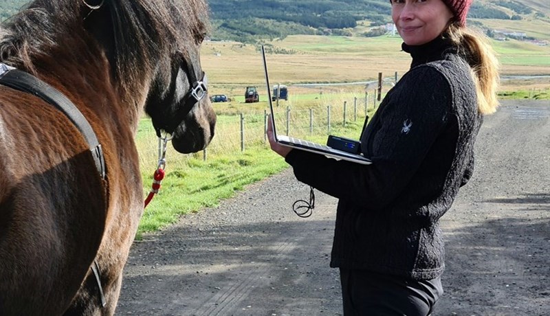 Fyrsti doktorsneminn í hestavísindum