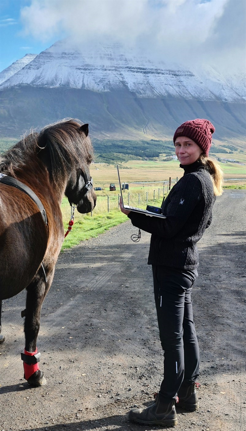 Helga Gunnarsdóttir, dýralæknir hesta, hóf nýverið doktorsnám í hestavísindum við Landbúnaðarháskóla Íslands.