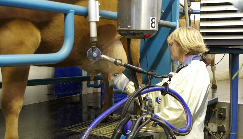 Eru þvottaklútarnir hreinir?