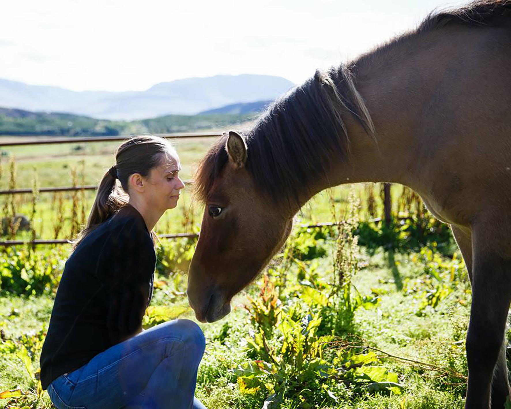 „Dýralækningar eru í grunninn erfitt starf“