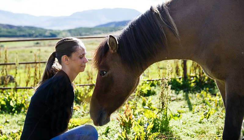 „Dýralækningar eru í grunninn erfitt starf“