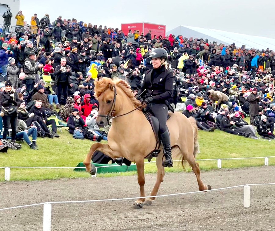 „Ég held að þetta sé góð þróun að lækka þröskuldinn í 8,0 fyrir hægt tölt svo fjögurra og fimm vetra hross eigi möguleika á hærri einkunnum fyrir tölt.“ segir Helga Una Björnsdóttir sem sýnir hér Bárð frá Sólheimum á Landsmóti hestamanna 2022.