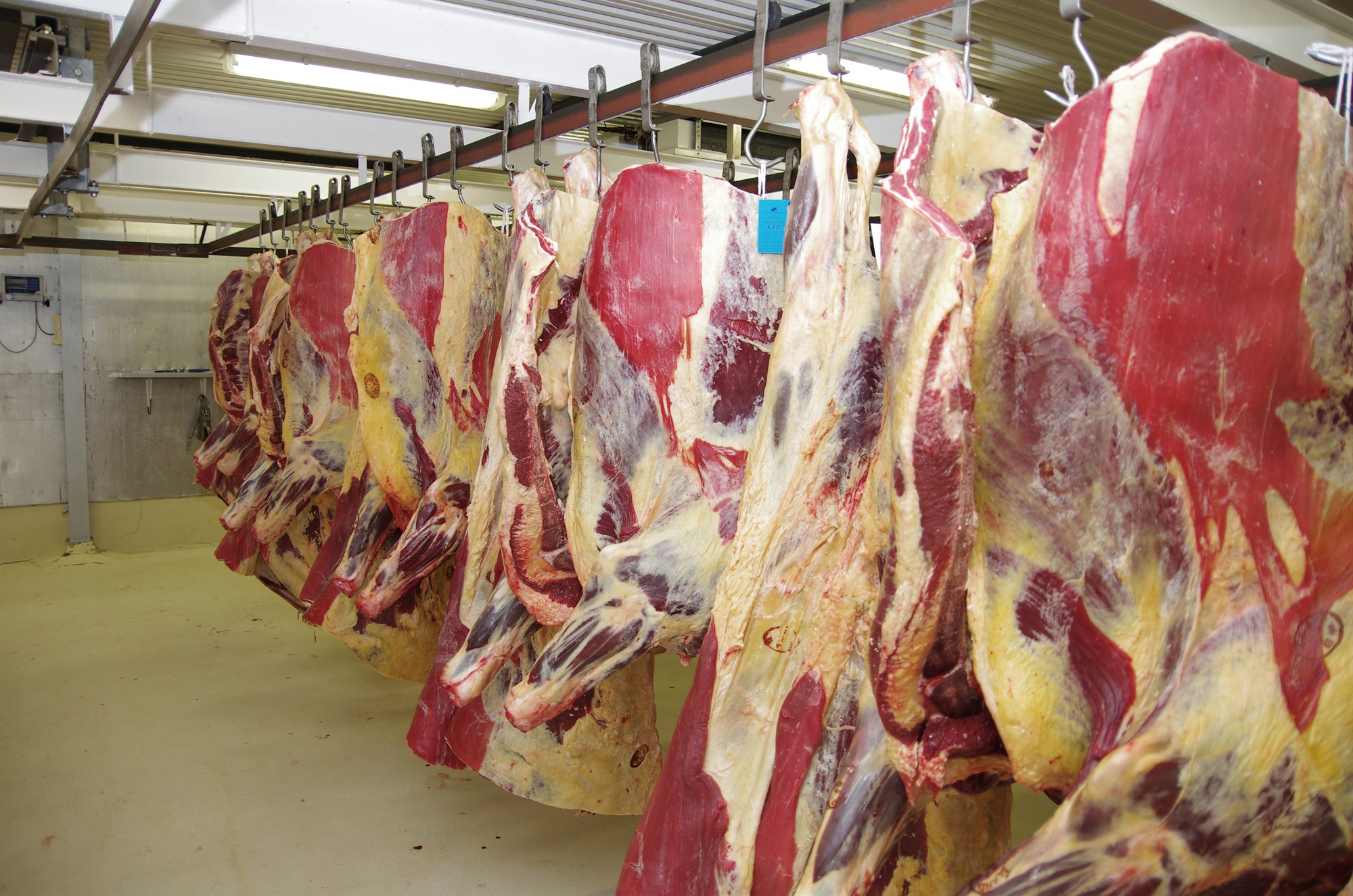 Vangaveltur á aðventunni