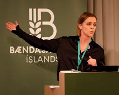 Jarmað, hneggjað, baulað ...