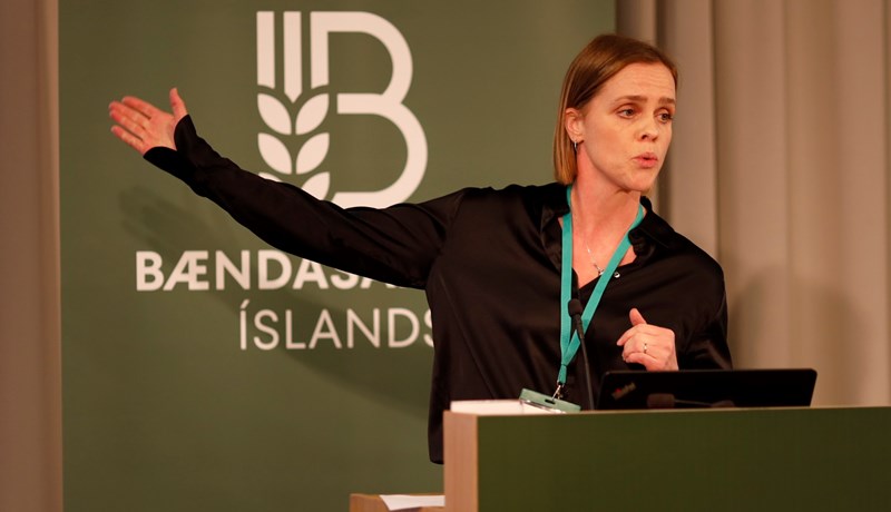 Jarmað, hneggjað, baulað ...