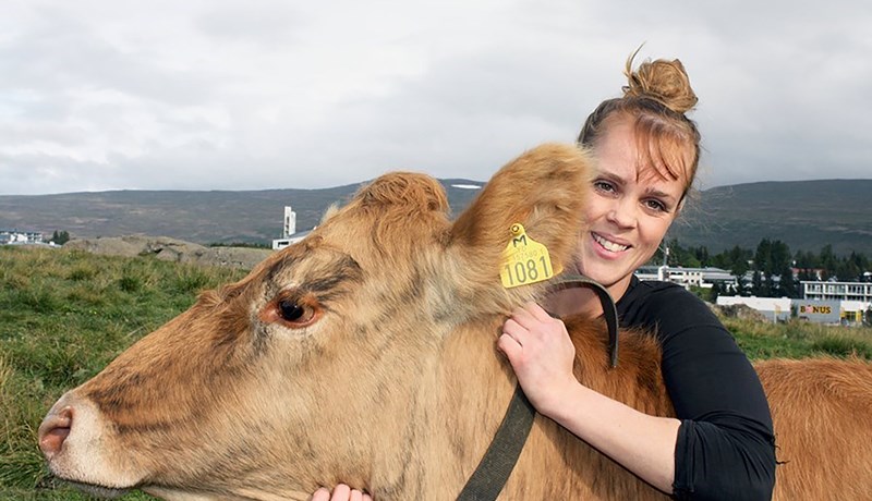 Hvað verður um nautakjötsframleiðsluna?
