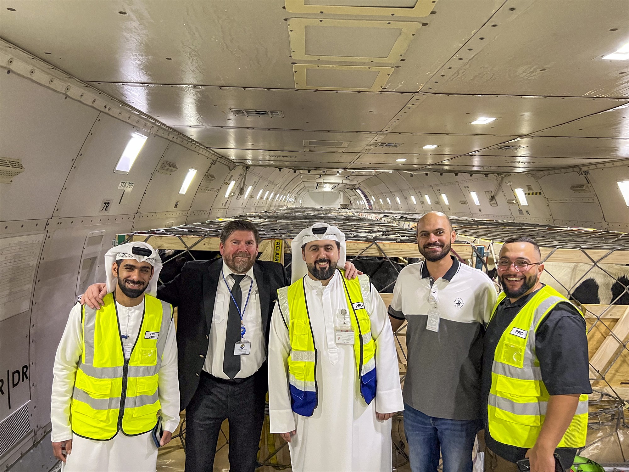 Flogið með kýr til Arabíu