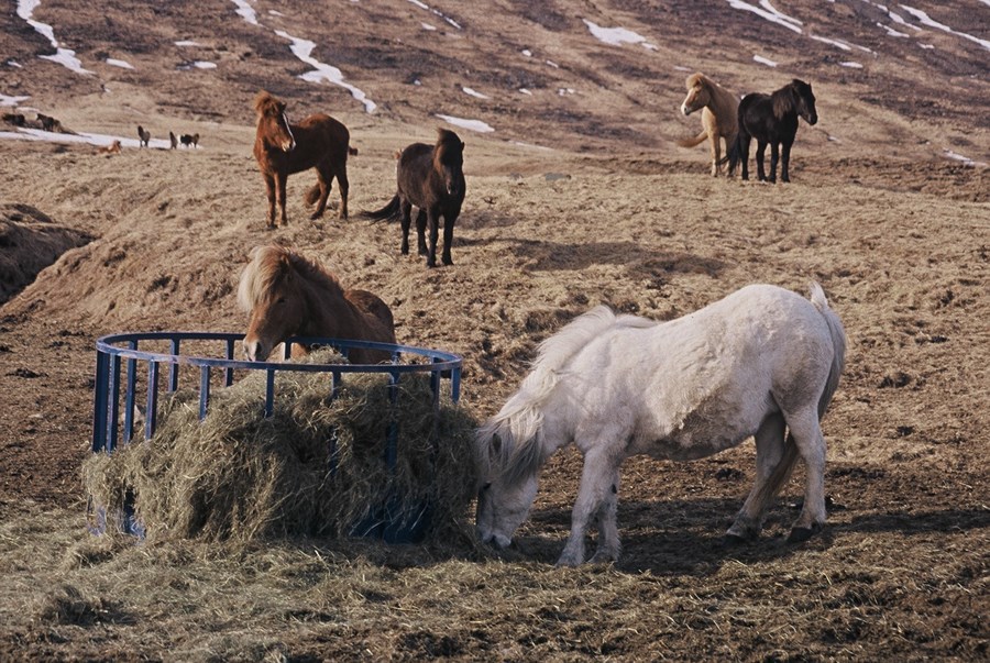 Í mörgum verkefnum hefur verið leitað í reynsluheim bænda með það að markmiði að greina þá þætti sem bændur telja að skipti mestu máli.